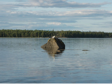 P1010077.JPG