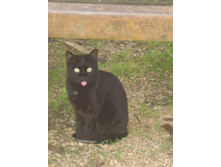 05.06.2010 18:21:17