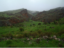 ���� ���� ���������. 05.06.2010 22:56:51
