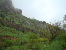 ���� ���� ���������. 05.06.2010 22:56:59