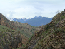 ���� ���� ���������. 05.06.2010 22:58:33