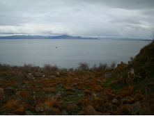 ���� ���� ���������. 05.06.2010 22:59:15