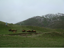 ���� ���� ���������. 05.06.2010 22:59:42