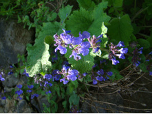 ���� ���� ���������. 05.06.2010 23:04:38