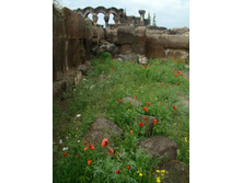 ���� ���� ���������. 06.06.2010 10:10:03