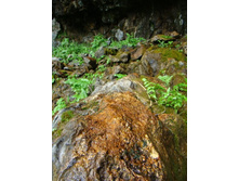 ���� ���� ���������. 06.06.2010 10:13:19