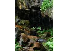 ���� ���� ���������. 06.06.2010 10:13:20