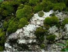 ���� ���� ���������. 06.06.2010 10:25:37