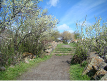 ���� ���� ���������. 06.06.2010 10:26:59