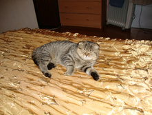 ����� (�����) DSC00606.JPG