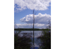 06.06.2010 22:24:33