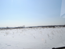 DSC_0184.jpg