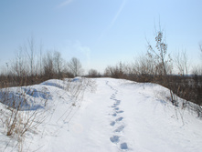 DSC_0189.jpg