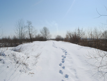DSC_0192.jpg