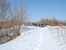 DSC_0193.jpg