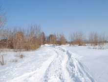 DSC_0331.jpg
