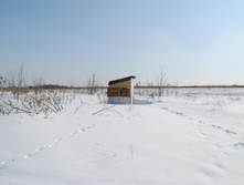 DSC_0333.jpg