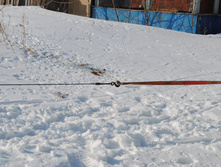 DSC_0357.jpg