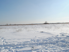 DSC_0410.jpg