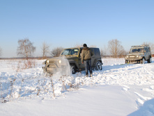 DSC_0446.jpg