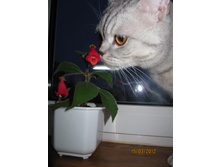 IMG_3277.JPG