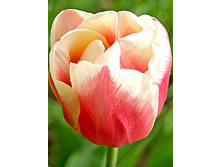 ���� ���� 9�..jpg