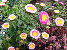 S73R3207.JPG