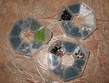 20100809 5508-1.JPG