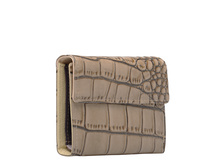 ORION ( ���. K00401 (beige) )