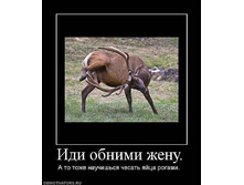 getImage (7).jpg