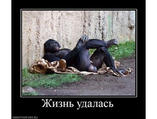 getImage (13).jpg