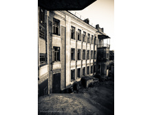 08.06.2010 3:03:46