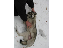 10.03.2008 2:07:15