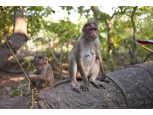 2012-12Mumbai172.jpg
