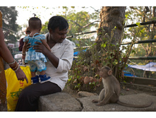 2012-12Mumbai173.jpg