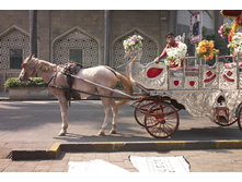2012-12Mumbai107.jpg