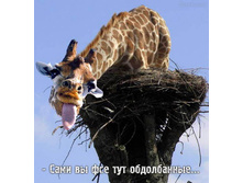 14.03.2008 9:11:20