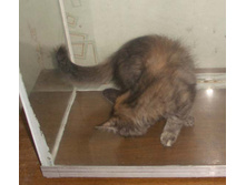 09.06.2010 0:28:02