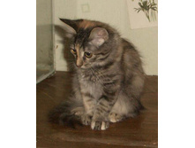 09.06.2010 0:28:04