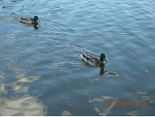 09.06.2010 13:13:09