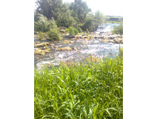 10.06.2010 9:08:01