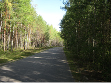 2012-09-02_11-02-21.jpg