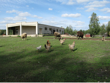 2012-09-02_11-31-20.jpg