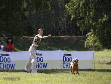 y_8e904786.jpg