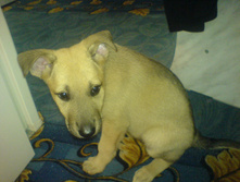DSC01240.JPG