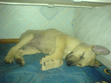 DSC01242.JPG
