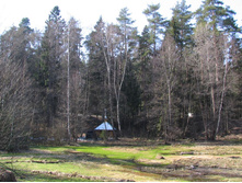 06.04.2008 0:12:37