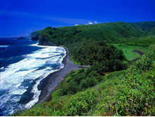 blue-and-green_1600_x_1200.jpg