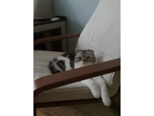 14092011851.jpg