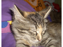 13.06.2010 2:34:34